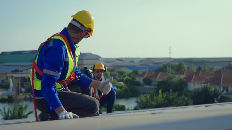 Best Roof Moss and Algae Removal  in Elkhorn, CA