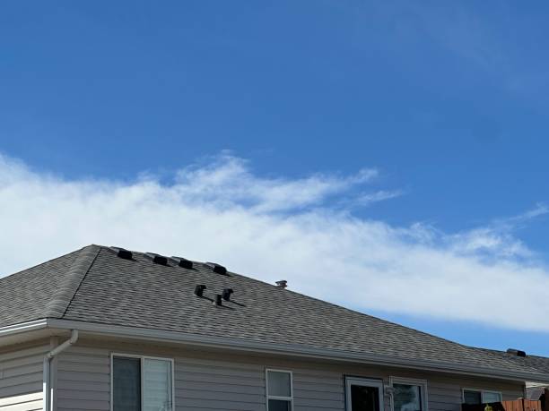Best Roof Maintenance and Cleaning  in Elkhorn, CA